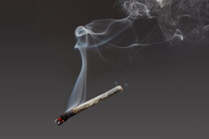 I Tried an Air Purifier Designed to Filter Out Weed and Cigarette Smoke