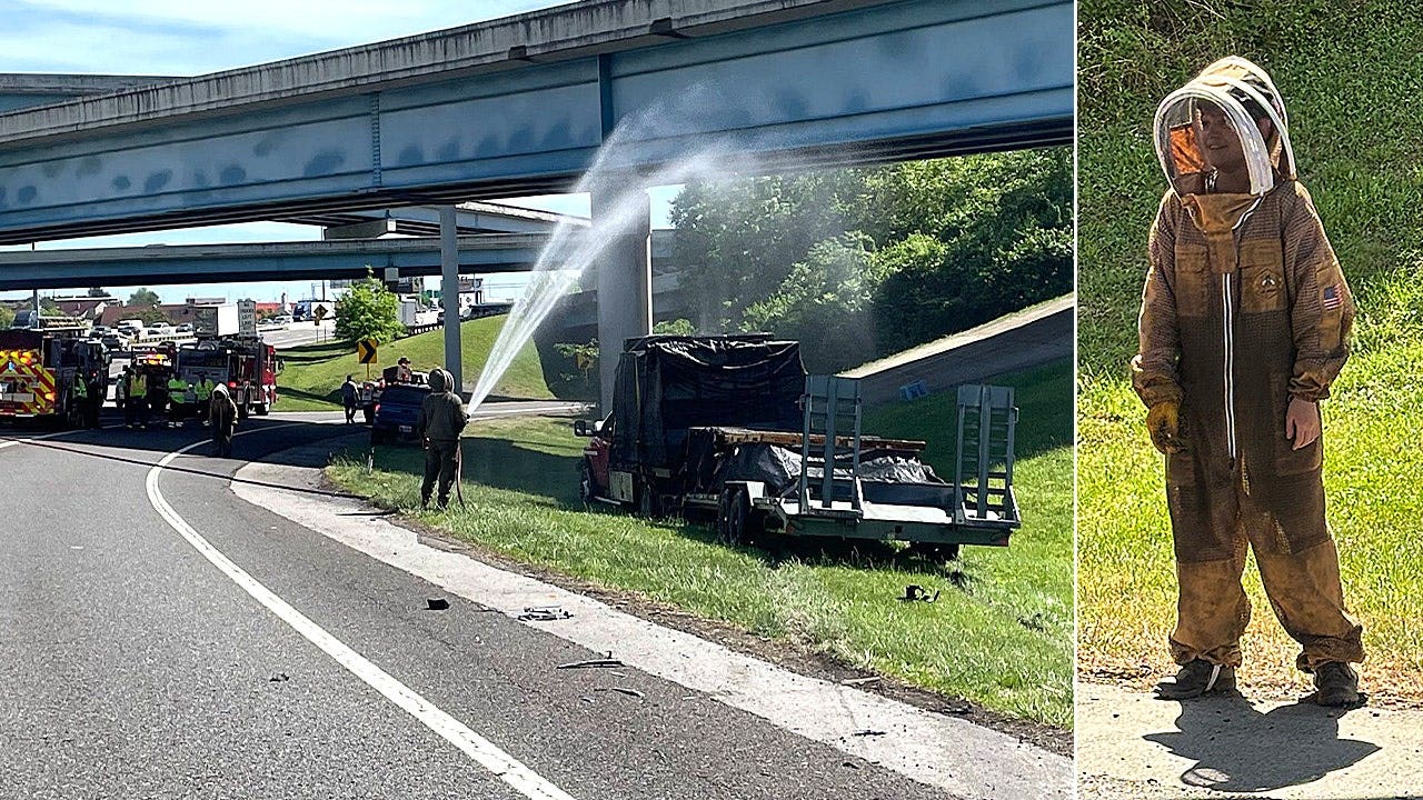 One million bees swarm highway after crash shuts down interstate ramp for hours