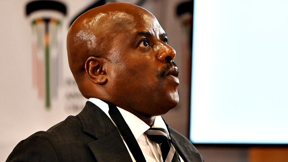 Julius Mkhwanazi testifying at the Madlanga Commission of Inquiry in Pretoria