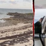 Boatyard employee found ‘exhausted’ missing American’s husband when he washed ashore after night adrift