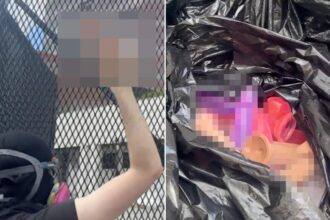 Anti-ICE agitators unleash bizarre X-rated protest in downtown LA