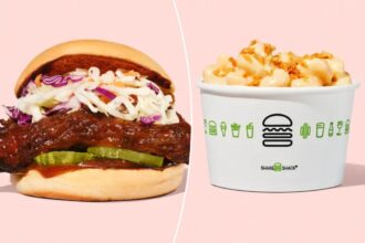 Shake Shack adds a ‘first-of-its-kind’ sandwich to its menu — and a brand new side to go with it