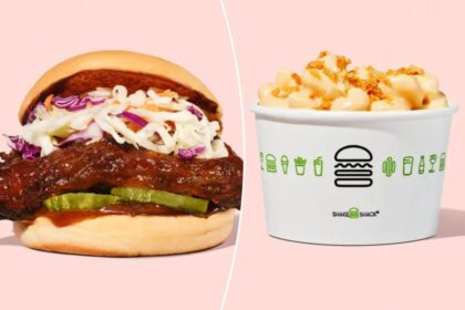 Shake Shack adds a ‘first-of-its-kind’ sandwich to its menu — and a brand new side to go with it