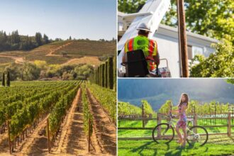 Wine Country cut off from rest of America after string of brazen copper wire thefts