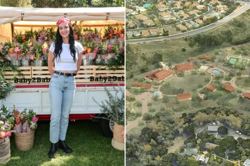 Katy Perry looks to build California youth camp, neighbors may have other plans