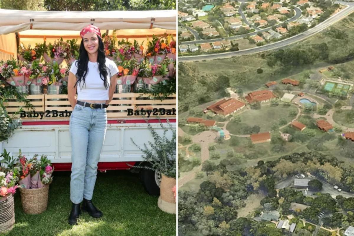 Katy Perry looks to build California youth camp, neighbors may have other plans