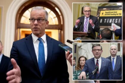 Thune gives reality check to Dems on DHS shutdown: ‘They got zero of the reforms’ demanded