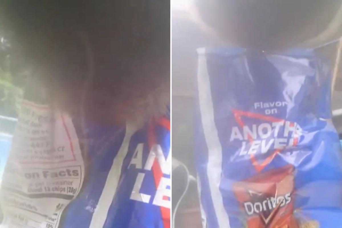 Sneaky bear snatches bag of Doritos left outside CT home, video shows