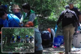 Human remains belonging to multiple children between ages 3 and 7 discovered in Memphis woods
