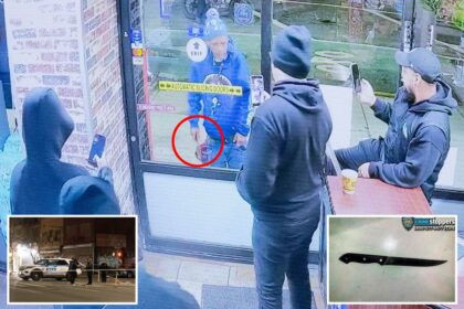 Knife-wielding lunatic shot by NYPD cop after terrorizing grocery store