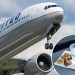 Flyer slams United Airlines for disregarding her life-threatening allergy: ‘That’s not a solution’