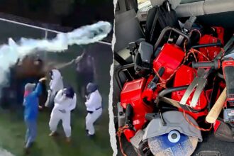 Hundreds of activists face pepper spray in violent clash with deputies at Wisconsin beagle research facility