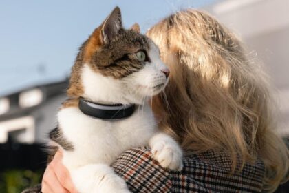 Health-Tracking Pet Collar Acts Like a Smartwatch for Dogs and Cats