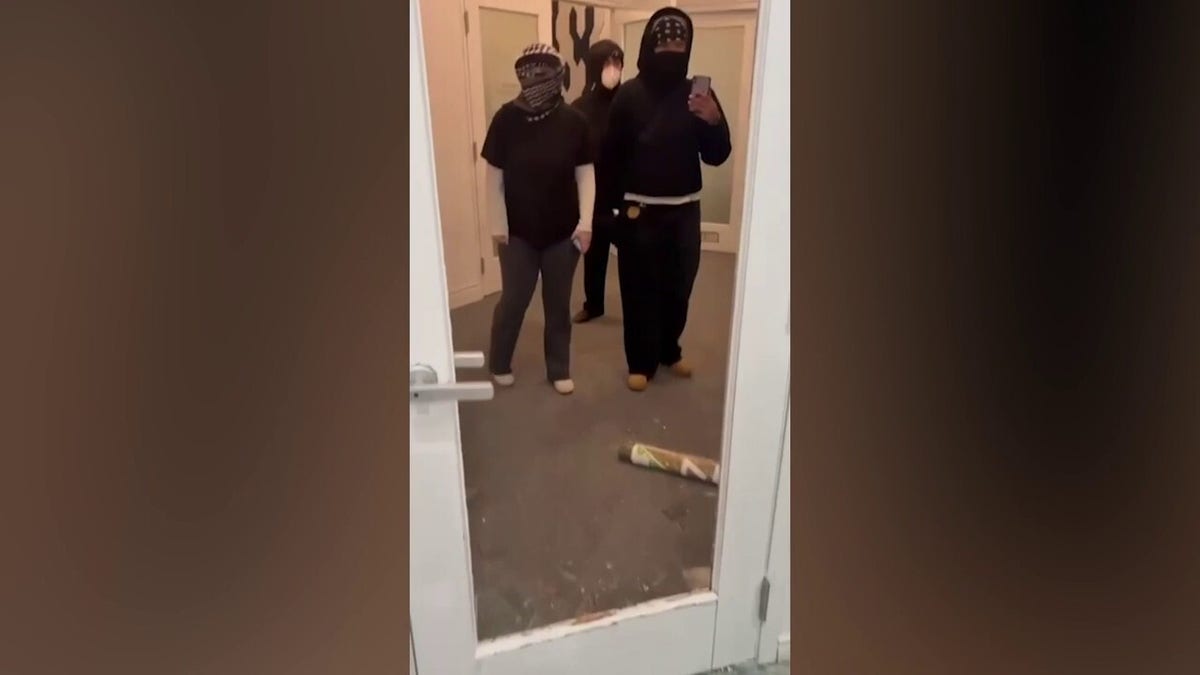 Masked pro-Palestinian protesters storm pro-Israel event in Toronto breaking glass and attacking attendees