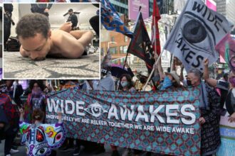 Who are ‘The Wide Awakes,’ leftist group WHCD gunman Cole Allen was supposedly a part of?