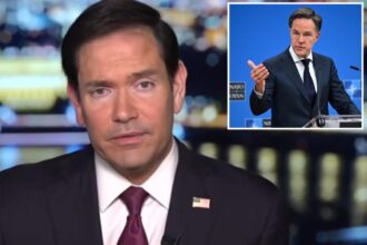 Marco Rubio pledges to ‘reexamine’ NATO membership after US denied access to European military bases for Iran war: ‘One way street’