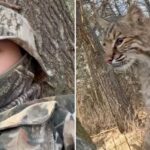 Wisconsin teen mauled by bobcat during turkey hunt in terrifying viral video