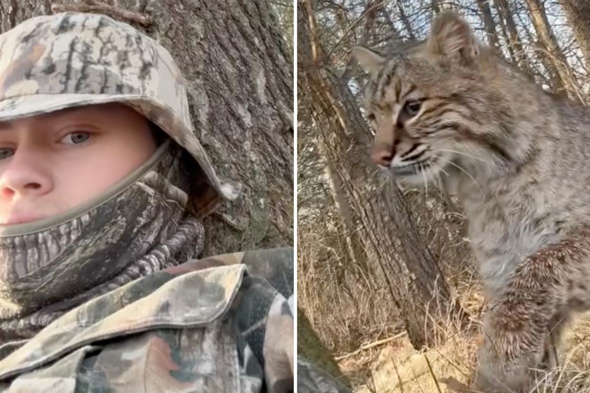 Wisconsin teen mauled by bobcat during turkey hunt in terrifying viral video