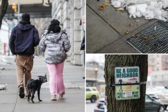 Exclusive | Dog poo plagues Manhattan, skidding to gross record over winter: ‘This c— has to stop’
