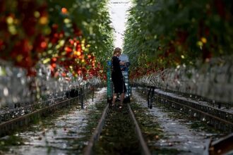 Sixteen EU countries seek more regional funds in long-term budget