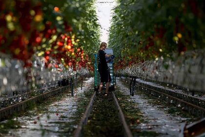 Sixteen EU countries seek more regional funds in long-term budget