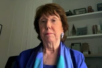 Former EU top diplomat says Trump understands trade as a ‘weapon’