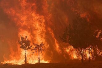 Spain to launch biggest wildfire campaign after record losses in 2025