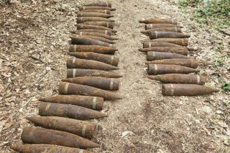 1.5 tonnes of Soviet munitions found in Berlin forest