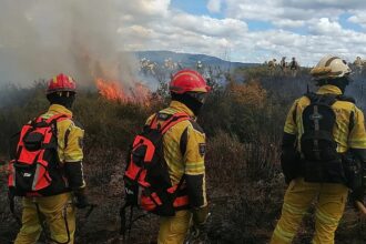 Portugal tests fire response in European exercise with 700 operatives