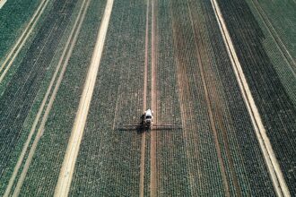 EU to use carbon tax revenues into farm subsidies in fertiliser crisis