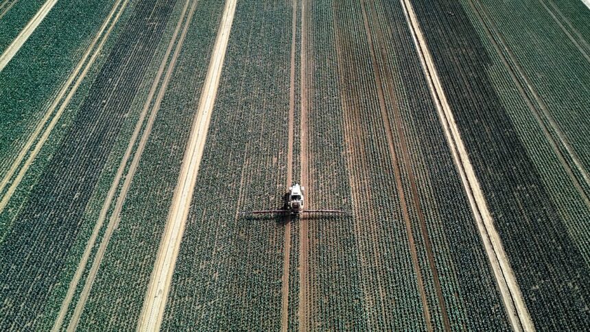 EU to use carbon tax revenues into farm subsidies in fertiliser crisis
