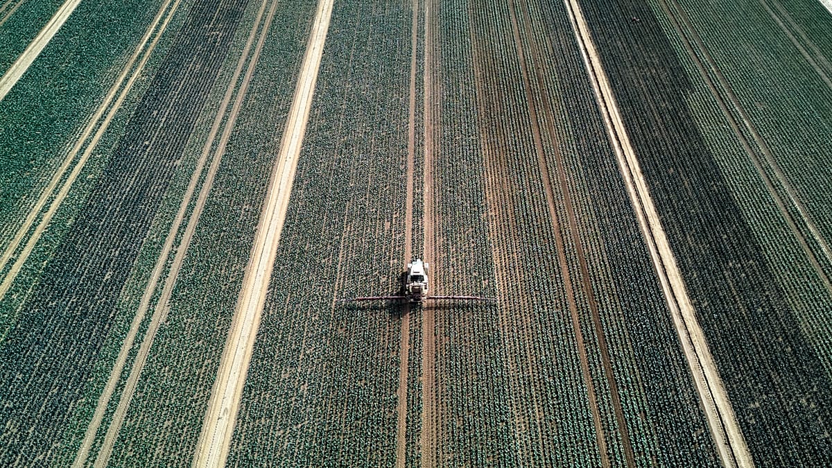 EU to use carbon tax revenues into farm subsidies in fertiliser crisis
