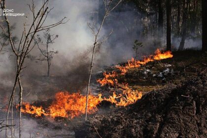 Forest fire burning near Chernobyl plant after drone crash, Kyiv says