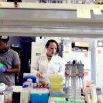 Study finds cancer-causing viruses emerging from wastewater