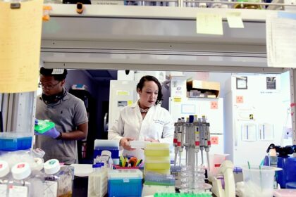Study finds cancer-causing viruses emerging from wastewater
