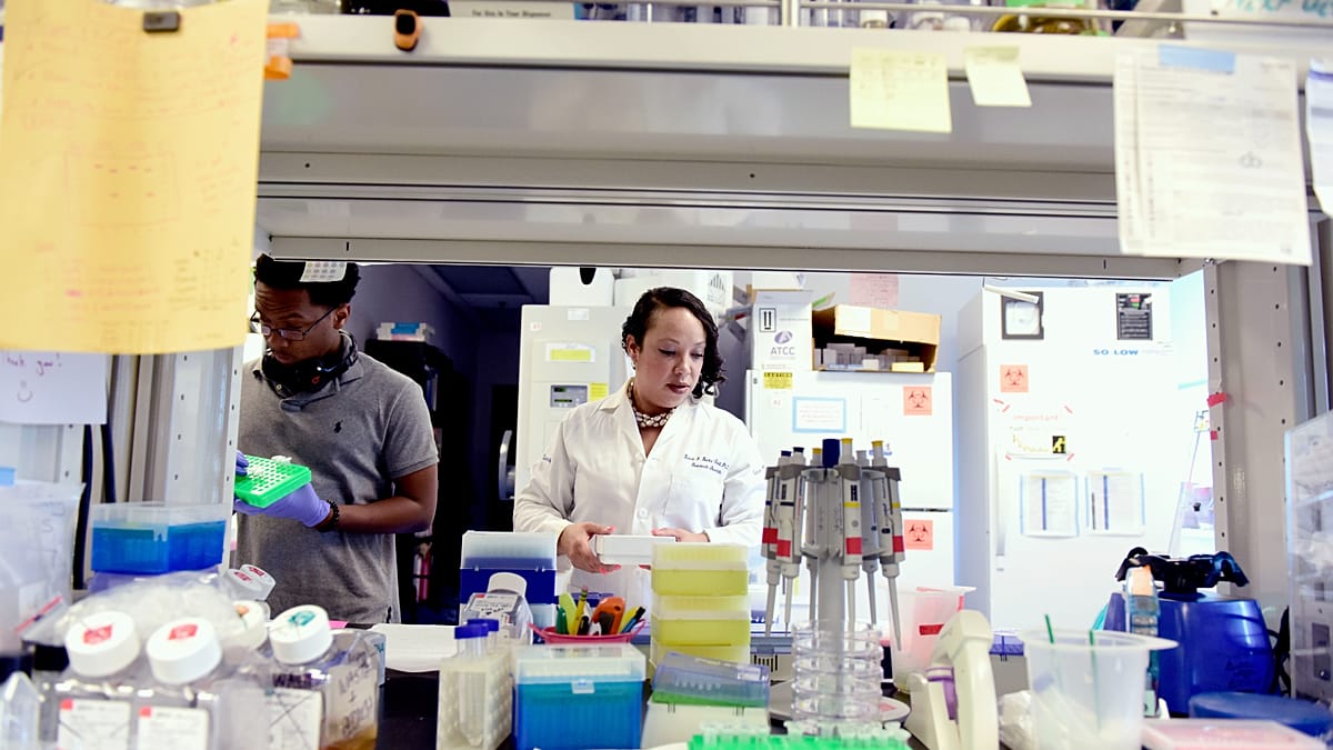 Study finds cancer-causing viruses emerging from wastewater