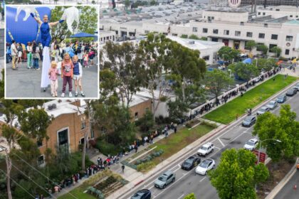 Mariachi and meatballs as hundreds turn out for grand opening of Culver City IKEA