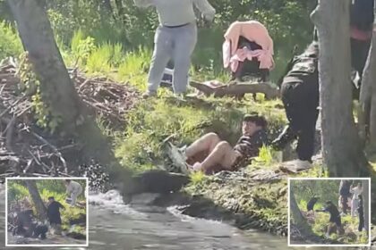 Wild video shows beaver attacking boy, 8, fishing in NJ lake