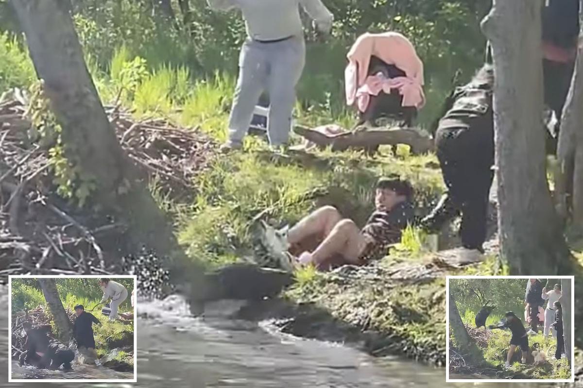 Wild video shows beaver attacking boy, 8, fishing in NJ lake