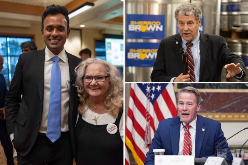Vivek Ramaswamy wins GOP primary for Ohio governor, Brown notches Dem nod to face Husted for Senate seat