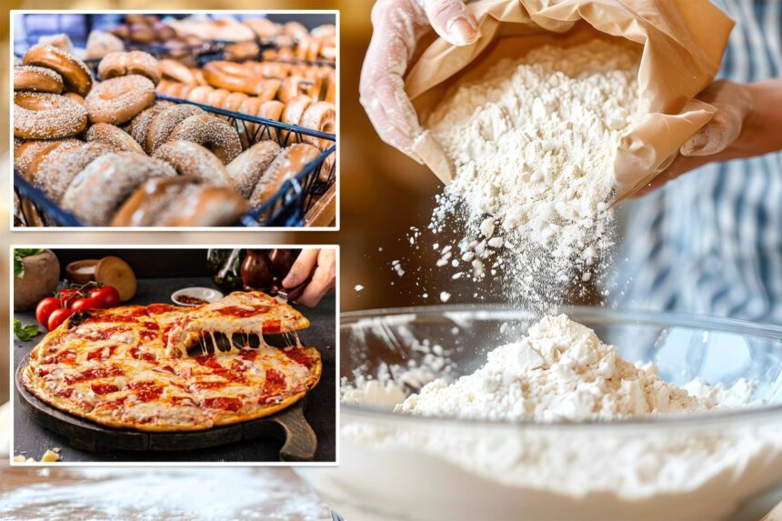 NY could ban common ingredient found in pizza and bagels over health concerns