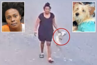 Puppy dies after sick woman kicks, hurls pooch in caught-on-camera assault: ‘Special place in hell’