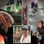Exclusive | LA-bound family on horror flight reveals gruesome moment plane struck person