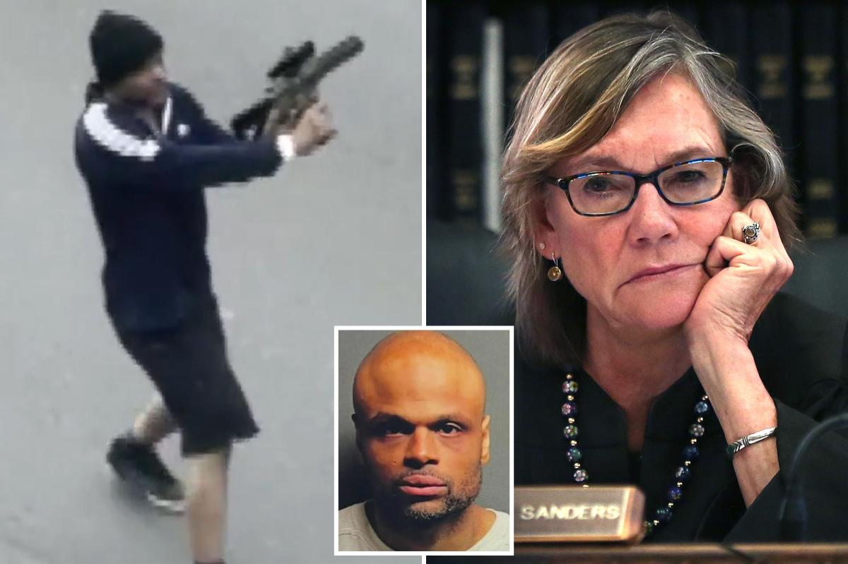 Rifle-wielding maniac was free to go on rampage thanks to sweetheart sentence