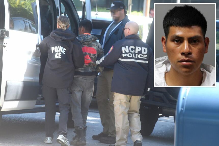 Illegal migrant nabbed for setting string of ‘dangerous’ fires on Long Island – turned over to ICE as charges not bail eligible: officials