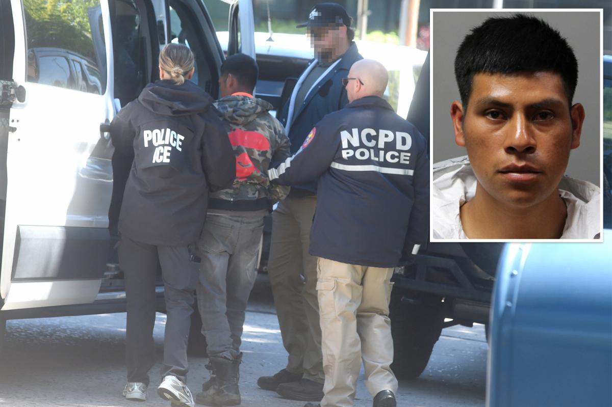 Illegal migrant nabbed for setting string of ‘dangerous’ fires on Long Island – turned over to ICE as charges not bail eligible: officials