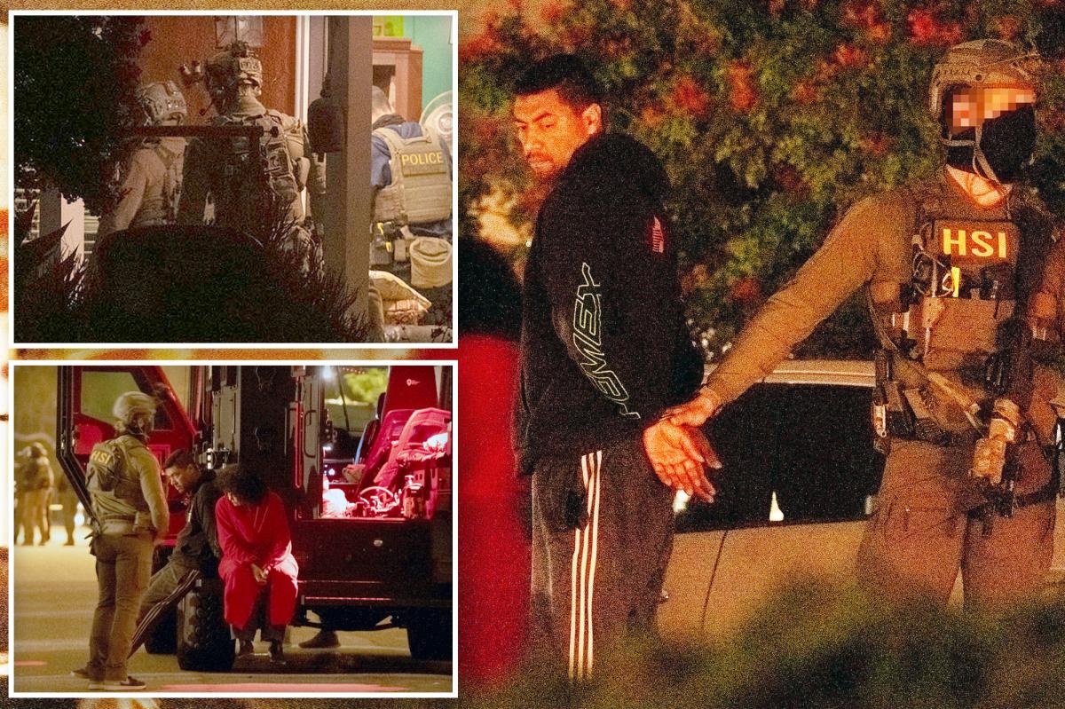 Exclusive | Feds descend on California home of prominent anti-ICE agitator in dramatic early morning raid