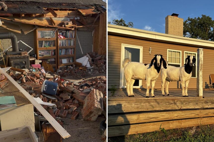 Pet goats save trapped family after killer tornado demolishes their home