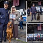 NYPD’s new K-9 cops set to take a bite out of crime after graduating