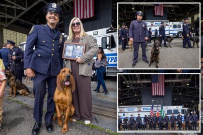 NYPD’s new K-9 cops set to take a bite out of crime after graduating